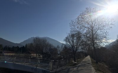 Achtzehnte Woche